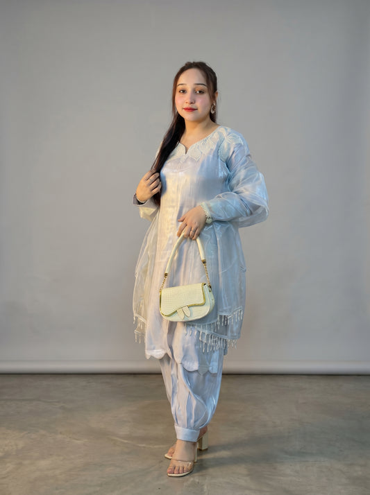 Grey Silver Sheesha Silk Suit with Organza Dupatta & Patiala Shalwar